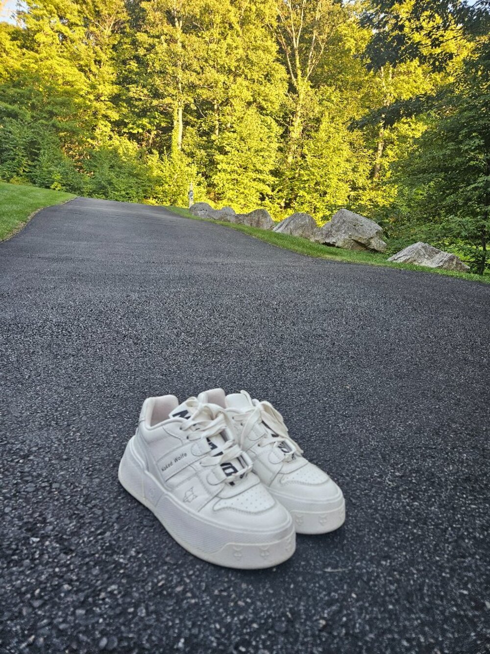 Naked Wolfe sneakers